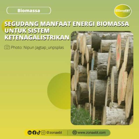 Segudang Manfaat Energi Biomassa Untuk Sistem Ketenagalistrikan Zonaebt