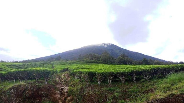 077752900_1641572595-gunung_dempo_pribadi (1)