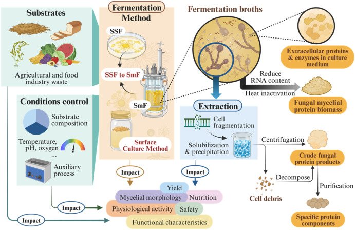 Illustration of Biomass Fermentation Process Map. zonaebt.com