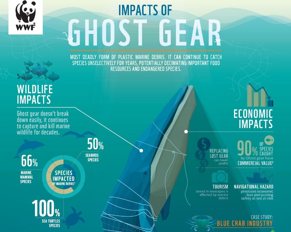 Ilustrasi Dampak Jaring Hantu atau Ghost Gear zonaebt.com