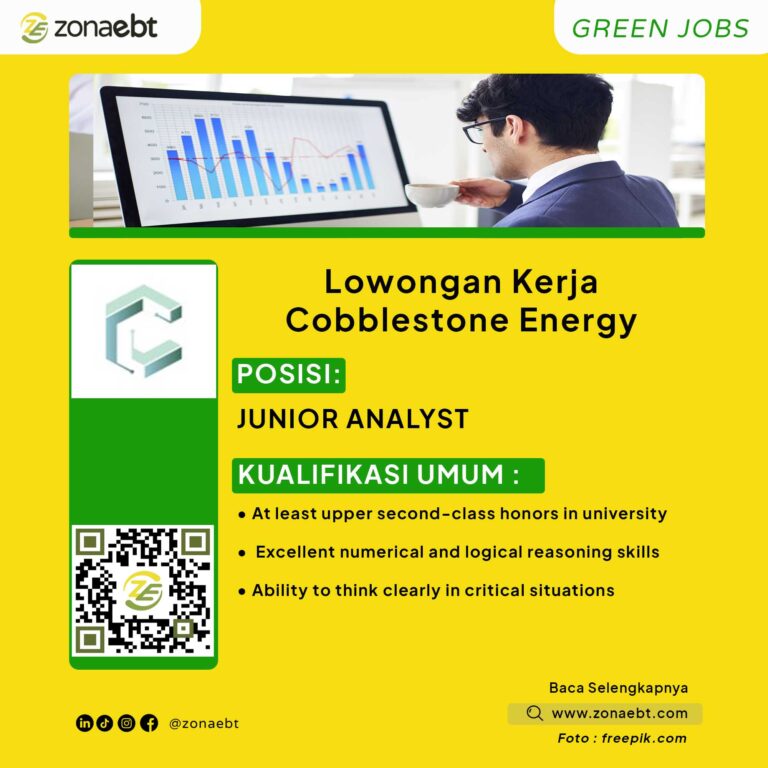 JUNIOR ANALYST zonaebt.com