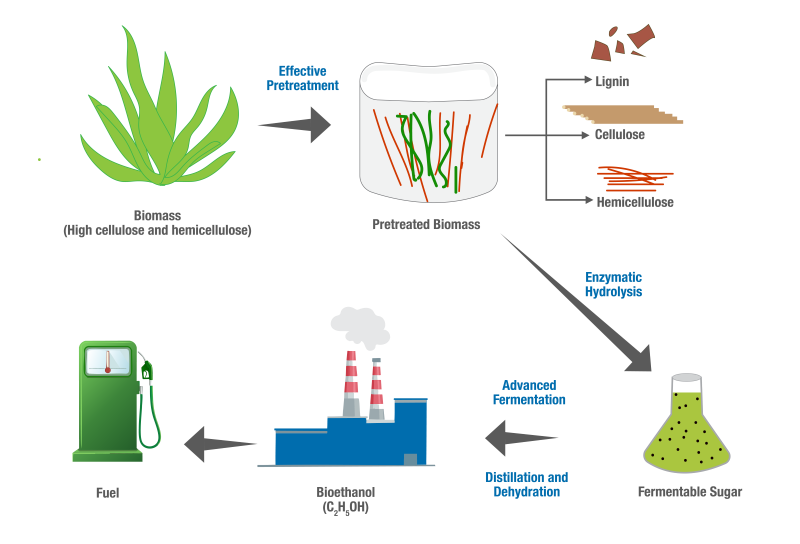 Illustration of Biomass Fermentation also with Fermentable Sugar Process Scheme. zonaebt.com
