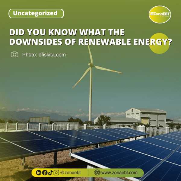 DID YOU KNOW WHAT THE DOWNSIDES OF RENEWABLE ENERGY_zonaebt