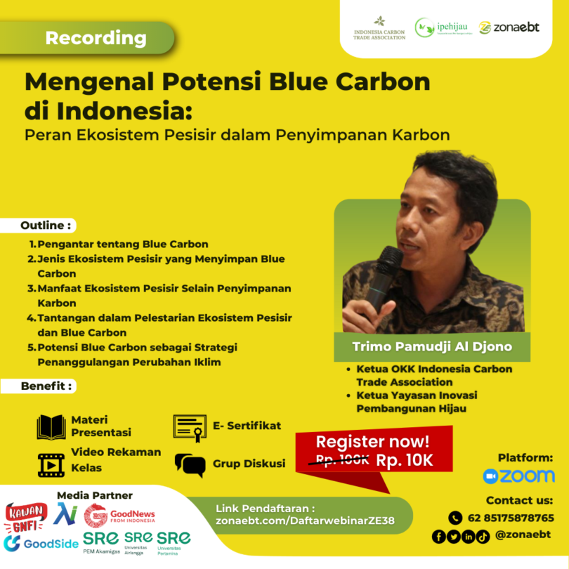 Mengenal Potensi Blue Carbon Di Indonesia: Peran Ekosistem Pesisir ...