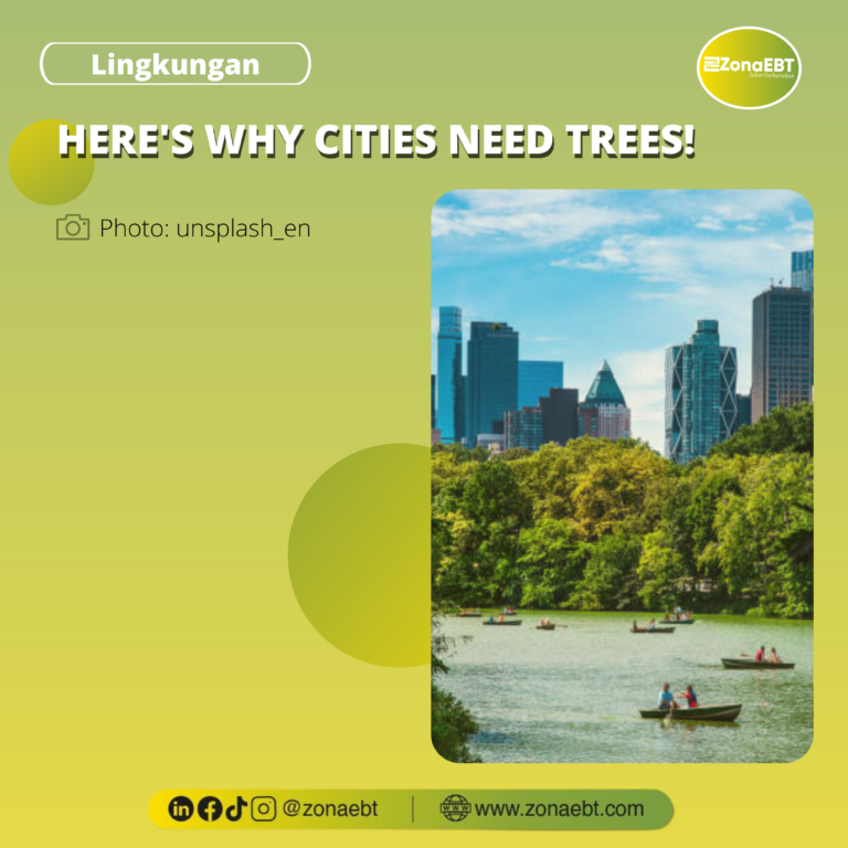 HERE'S WHY CITIES NEED TREES!