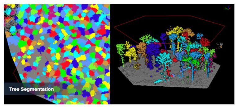 Hasil-data-drone-untuk-mengidentifikasi-karakteristik-pohon-berdasarkan-data-LiDAR