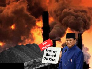 Prabowo's Swasembada Energi Without New Renewable Energy Will Be Useless