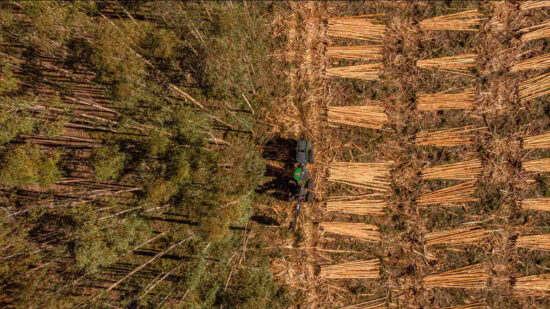 Koltiva Dorong Dialog Multi-Pemangku Kepentingan tentang Regulasi Anti Deforestasi Uni Eropa dan Kepatuhan untuk Keberlanjutan Industri (2)