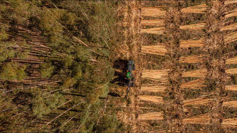 Koltiva Dorong Dialog Multi-Pemangku Kepentingan tentang Regulasi Anti Deforestasi Uni Eropa dan Kepatuhan untuk Keberlanjutan Industri (2)