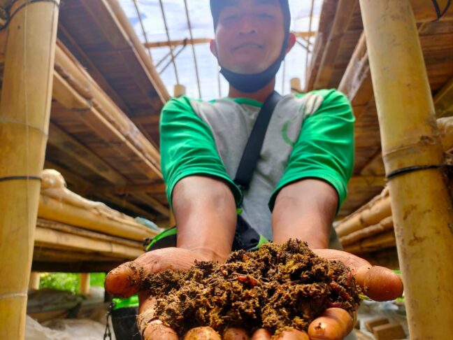 Limbah Kotoran Sapi Menjadi Energi Listrik Dan Sumber Cuan, Bagaimana ...