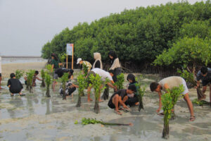 LindungiHutan x Smiling Coral Indonesia (LindungiHutan)