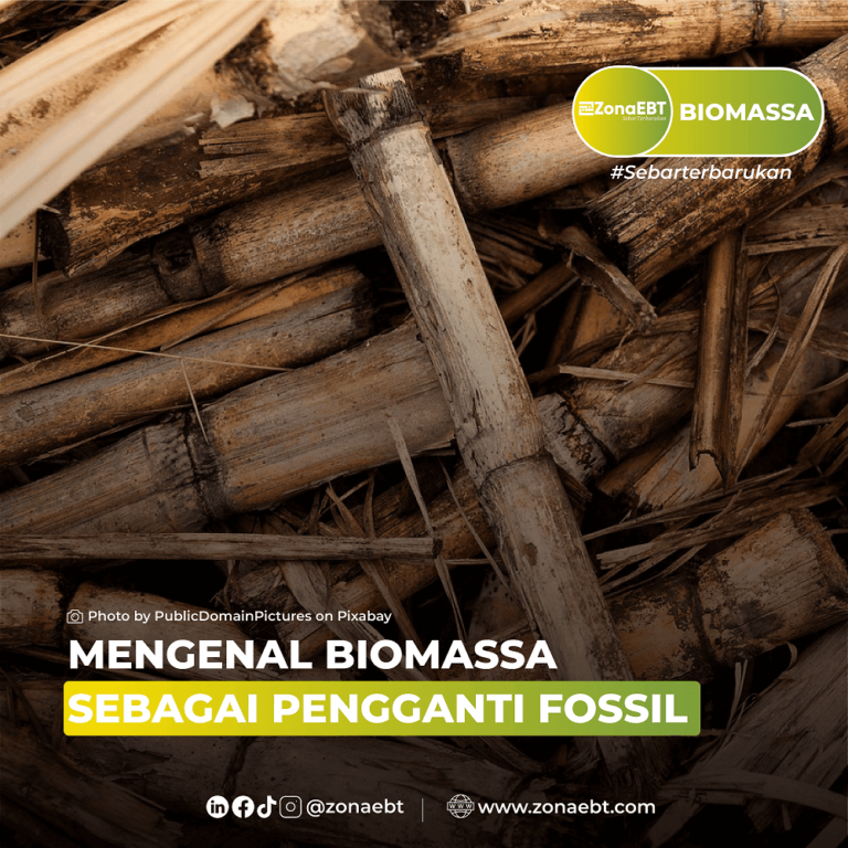 MENGENAL BIOMASSA SEBAGAI PENGGANTI FOSSIL zonaebt