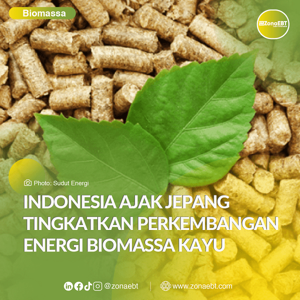 Pengembangan energi biomassa zonaebt