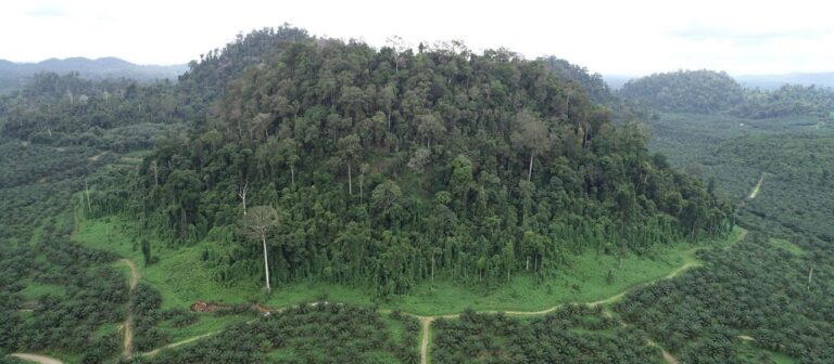 Perkebunan Berkelanjutan