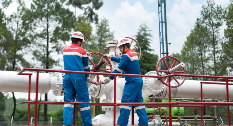 Mengenal Subholding Pertamina Power & NRE dan Bisnis Energi Terbarukannya zonaebt.com