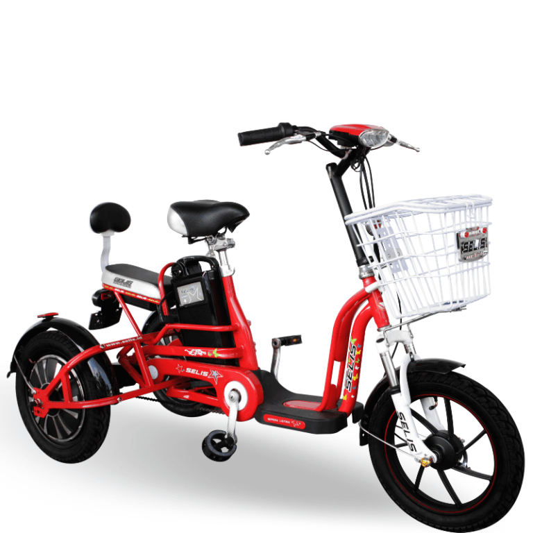 Selis Butterfly Trike 1