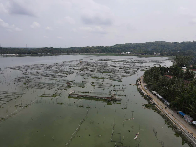 Waduk Mrica