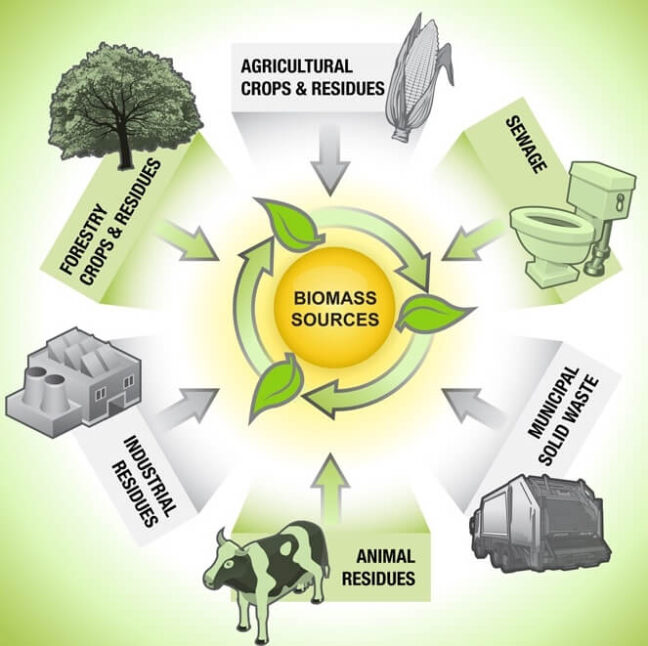 5 Manfaat Biomassa, Apa Sajakah Itu? - Zonaebt.com