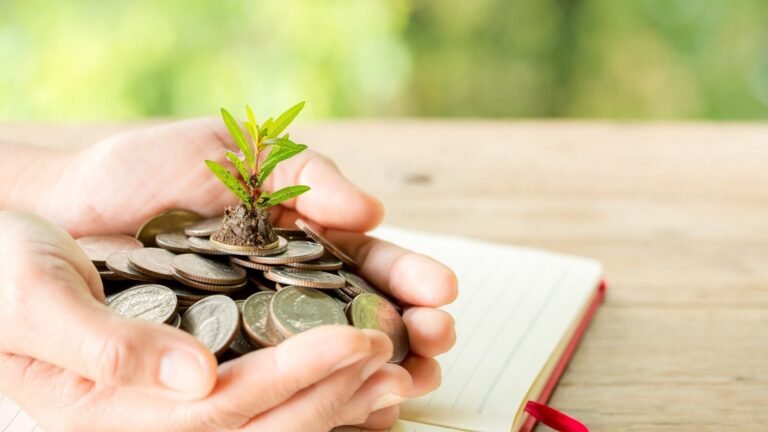 Mengenal Zakat Hijau, Pendekatan Baru Muslim Indonesia Hadapi Ancaman Perubahan Iklim zonaebt.com