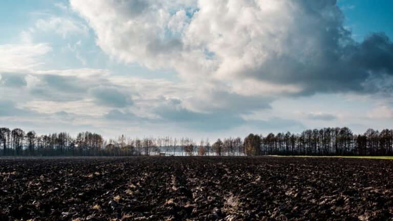 5 Penyebab Perubahan Iklim Menurut Survei, Aktivitas Manusia Mendominasi zonaebt.com