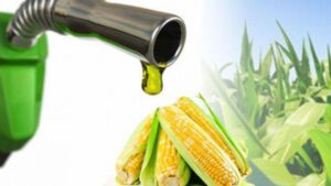 Mengenal Bioetanol, Bahan Bakar Hasil Fermentasi yang Ramah Lingkungan zonaebt.com