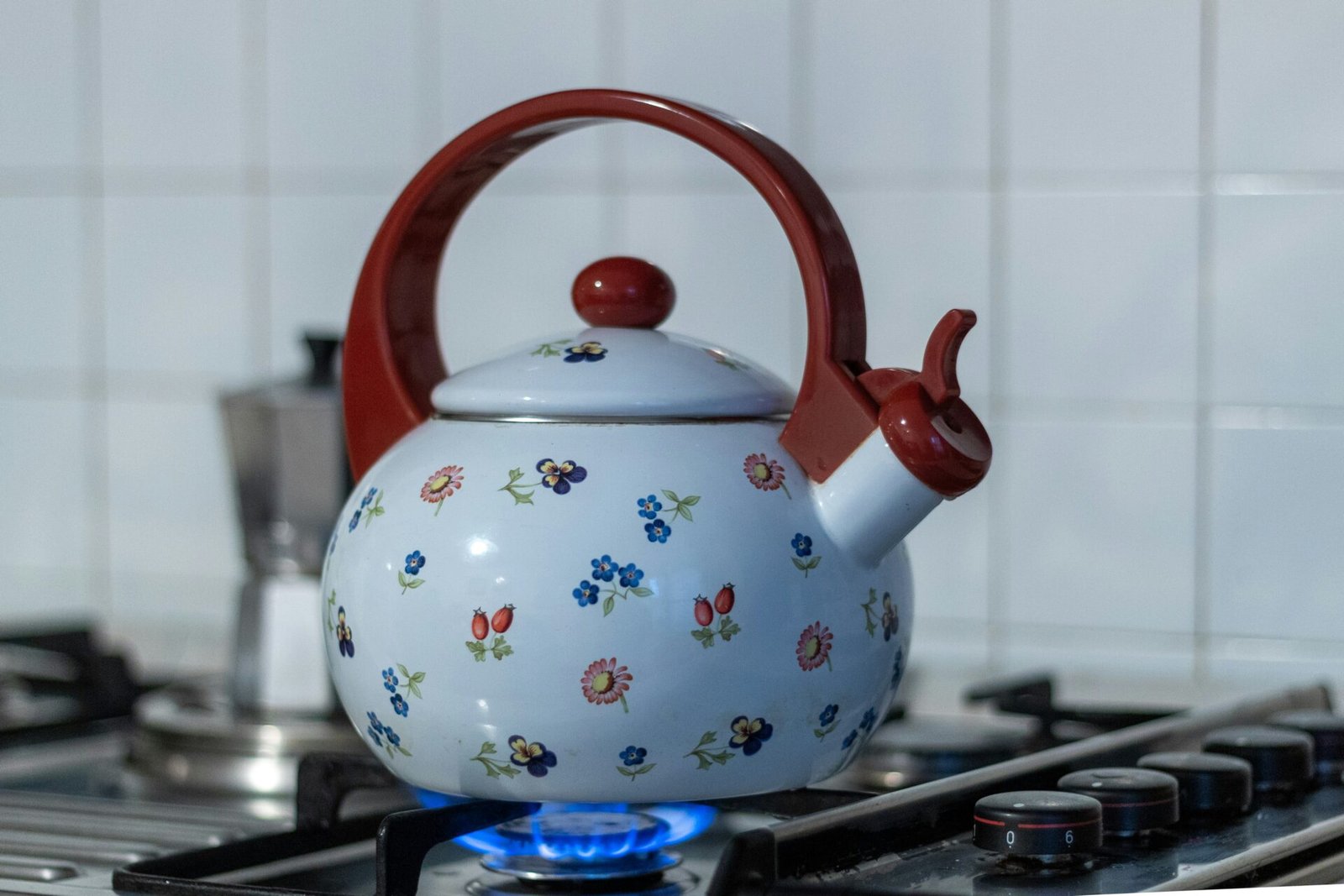 A biogas-powered stove