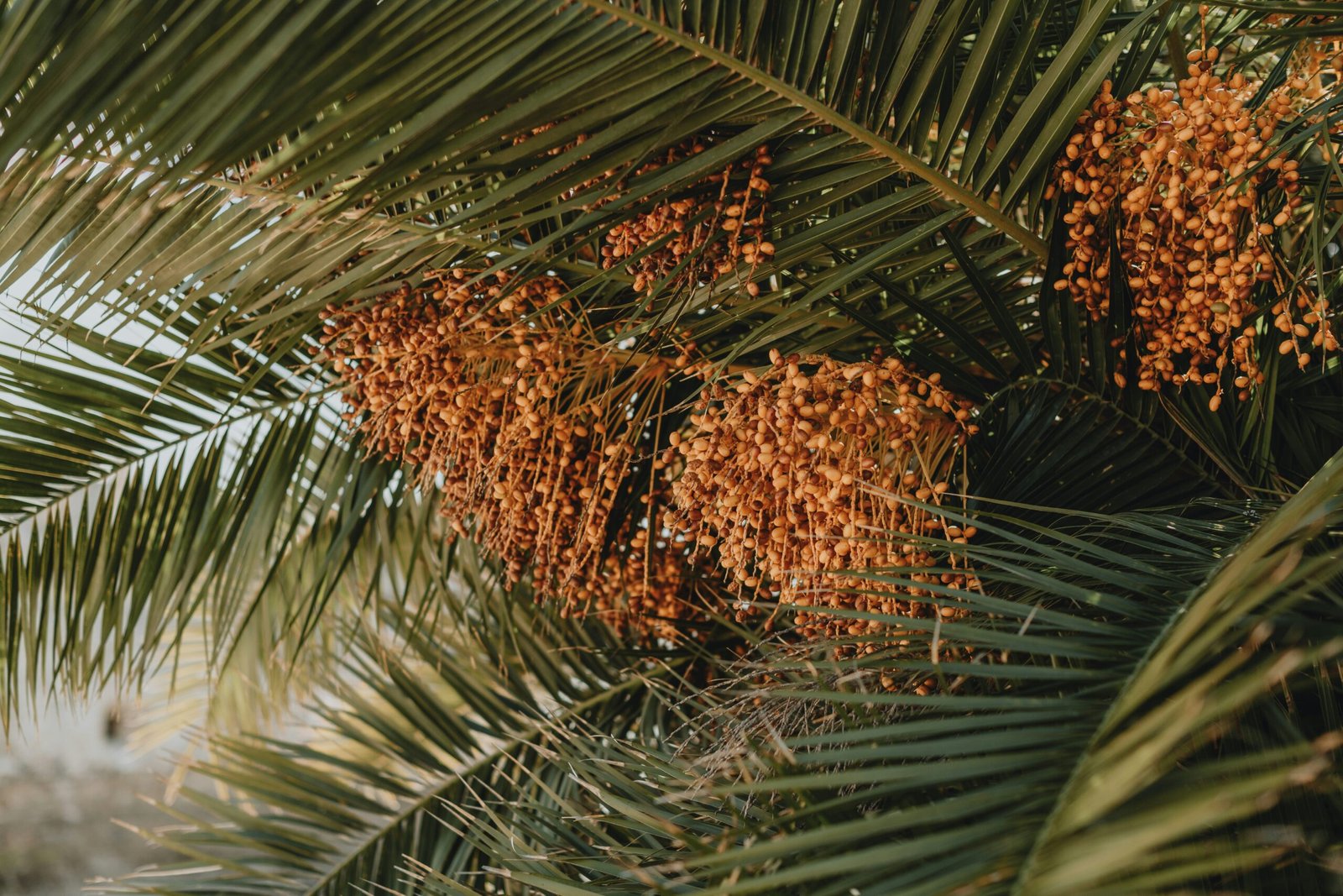 Tahun 2023, mulai dari hulu sampai hilir, mencapai lebih dari Rp750 triliun, yang memberikan kontribusi sekitar 3,5% terhadap PDB Nasional.