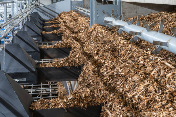 Transitioning from Traditional Biomass Energy to Contemporary Biomass Energy