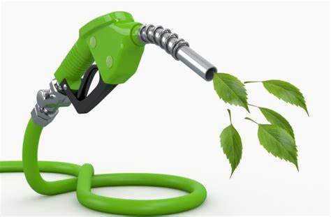 Do You Know About Advanced Biofuels and Its Implementation in Indonesia?