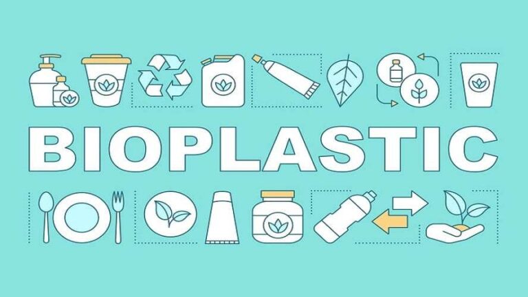 Bioplastik Singkong: Inovasi Lokal Bernilai Ekonomi Tinggi. Zonaebt.com