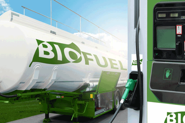 Peningkatan biofuel perlu diimbangi kesadaran lingkungan, mengingat manusia adalah bagian dari masalah iklim global.