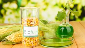 Perkembangan teknologi biofuel perlu mengatasi isu harga, pasokan, dan keberlanjutan untuk energi alternatif.