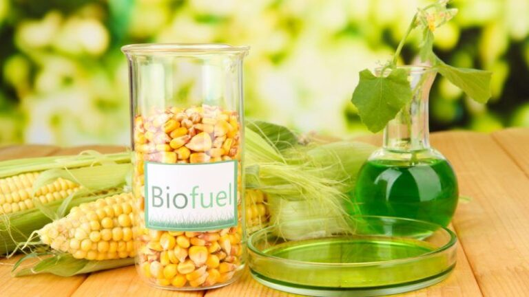 Perkembangan teknologi biofuel perlu mengatasi isu harga, pasokan, dan keberlanjutan untuk energi alternatif.