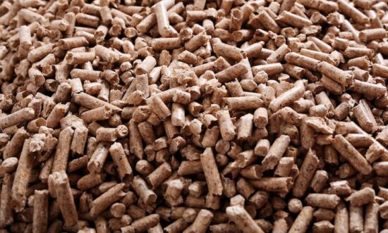 Raw Material Constraints In Biomass Cofiring Pltu Indonesia - Zonaebt.com