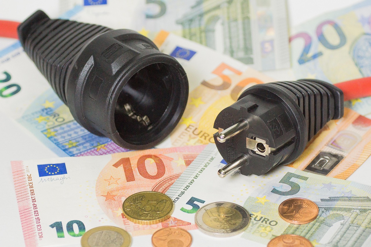 Illustration of biomass can help money and electicity saving in Erurope