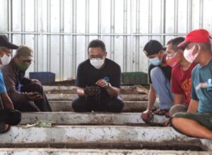PT Greenprosa: Budidaya Maggot menciptakan Industri Hijau Berkelanjutan berbasis pemberdayaan masyarakat di Indonesia. zonaebt.com