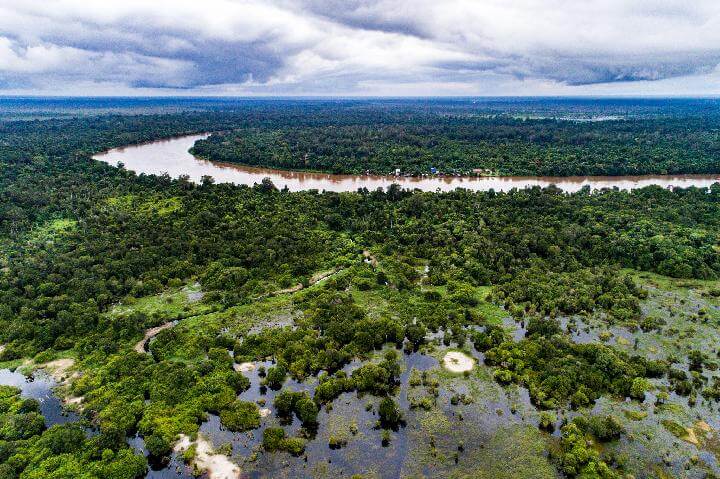 Hutan Rawa Gambut zonaebt.com