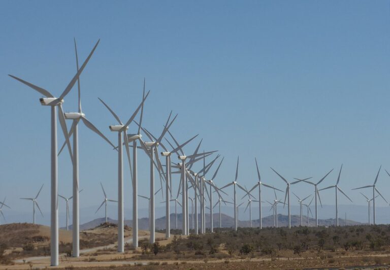 The 5th Largest Windfarm in The World