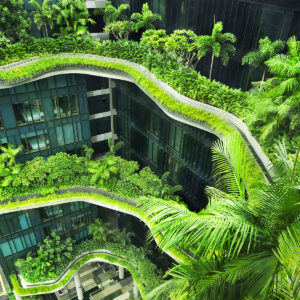 green-building-in-singapore