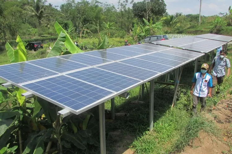 Illustration of Solar Panel. Source: suara merdeka  zonaebt.com
