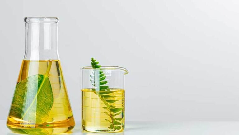 8 Sumber Bahan Baku Pembuatan Bioetanol di Indonesia zonaebt.com