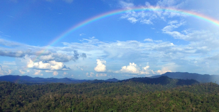Perkembangan Informasi Geospasial Tematik (IGT) Kemenhut: Dari WebGIS hingga SIGAP Terintegrasi zonaebt.com