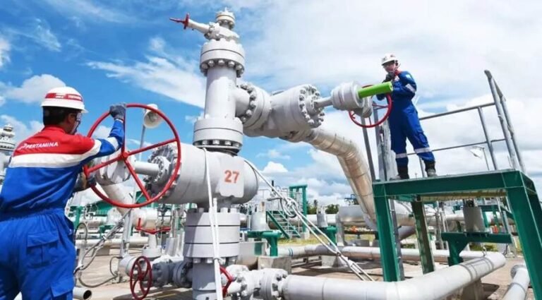 3 Pemanfaatan Panas Bumi Non-Listrik dari Program Beyond Electricity PGEO zonaebt.com