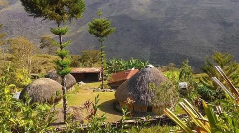10 Provinsi dengan Indeks Kualitas Lingkungan Hidup Tertinggi 2025 zonaebt.com
