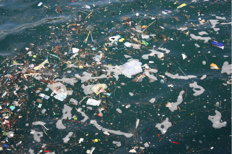 Marine pollution that pollutes the sea zonaebt.com