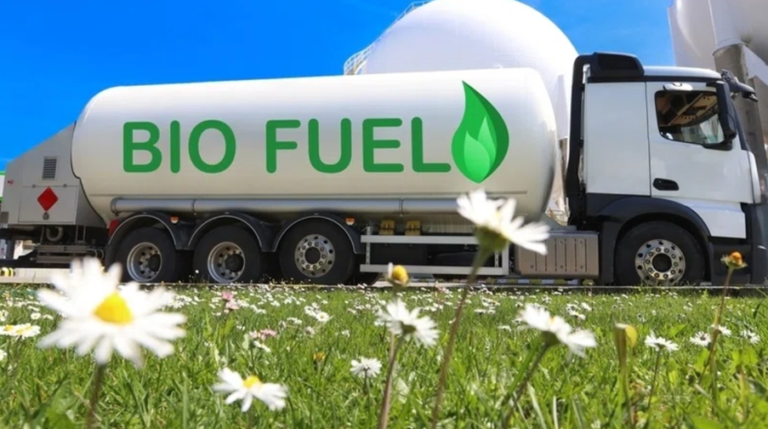 5 Kelebihan dan Kekurangan Biofuel yang Perlu Diketahui zonaebt.com