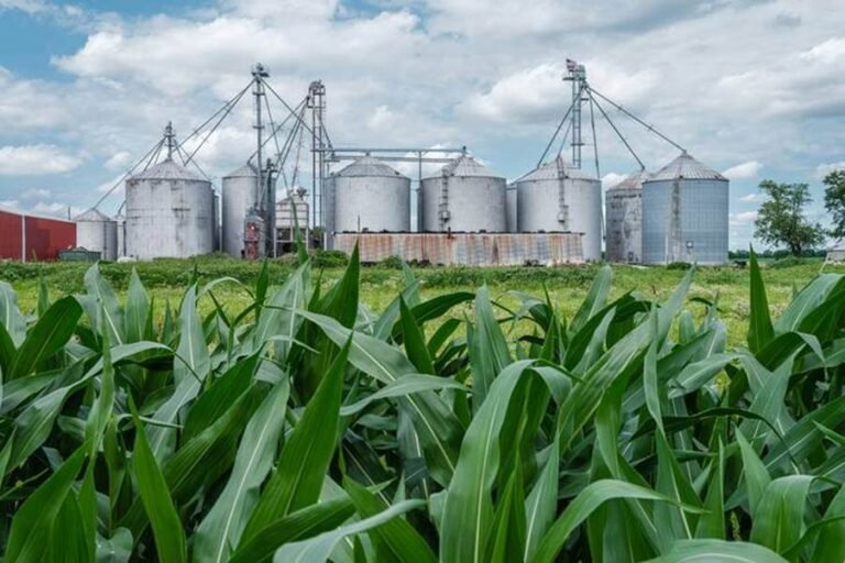 5 Manfaat BBN untuk Dukung Ketahanan Energi Nasional zonaebt.com