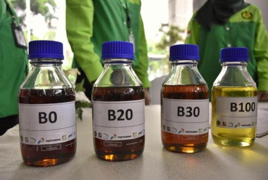 What is the Prospect of Biodiesel in Indonesia in Replacing Diesel Fuel?