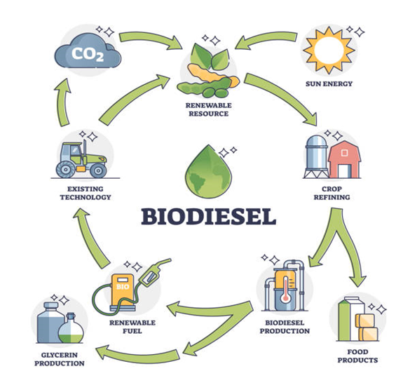 Biodiesel Usage Cycle Pictures. Source: iStock