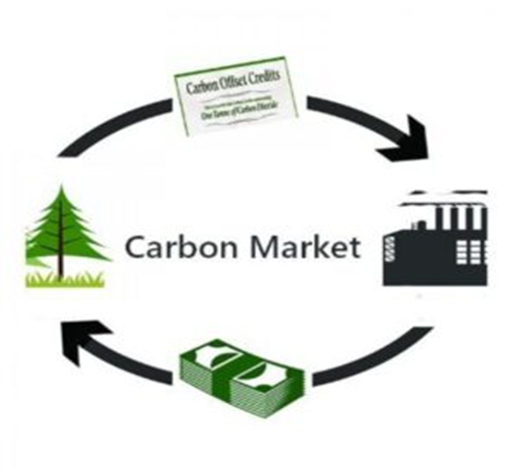 Carbon Trading Scheme Drawing